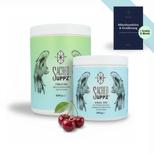 Performance Bundle